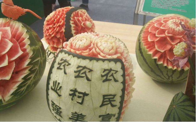 2019中国（昌乐）西甜瓜科技博览会开幕502.png
