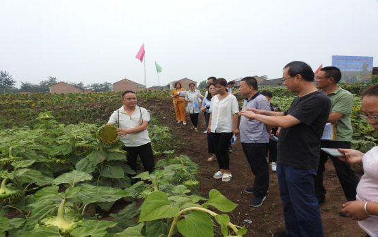 天吉源北耳村(2)(1)(2)504.png