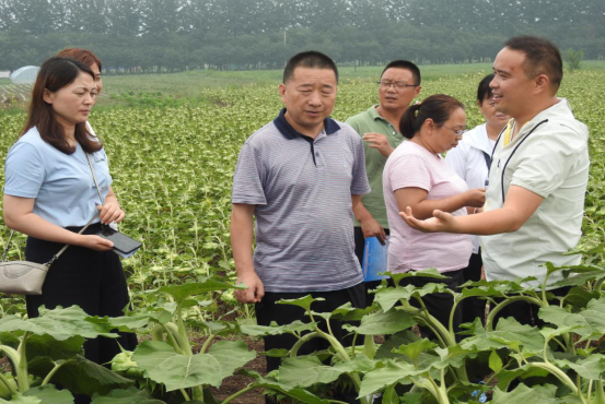 天吉源北耳村(2)(1)(2)514.png