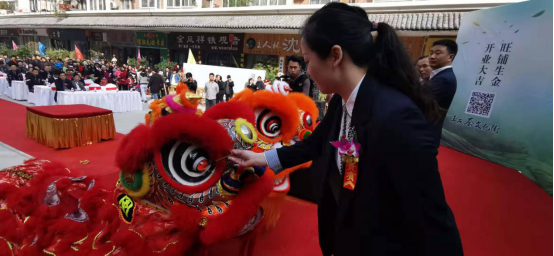 绿城郑州丰庆茶文化街开街迎宾486.png